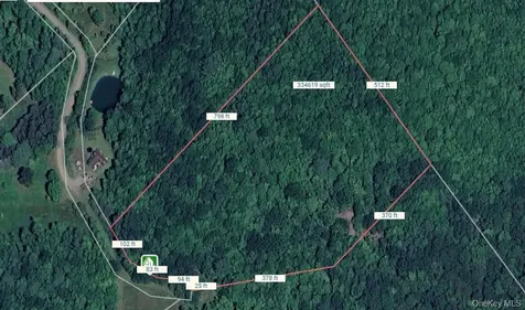 Lot 29.4 Sunset Trail Franklin NY 13775