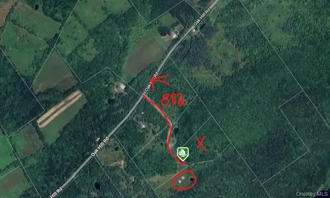 Lot 29.4 Sunset Trail Franklin NY 13775