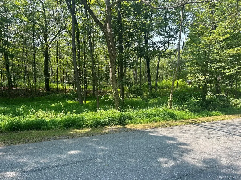 White Schoolhouse Road Rhinebeck NY 12572