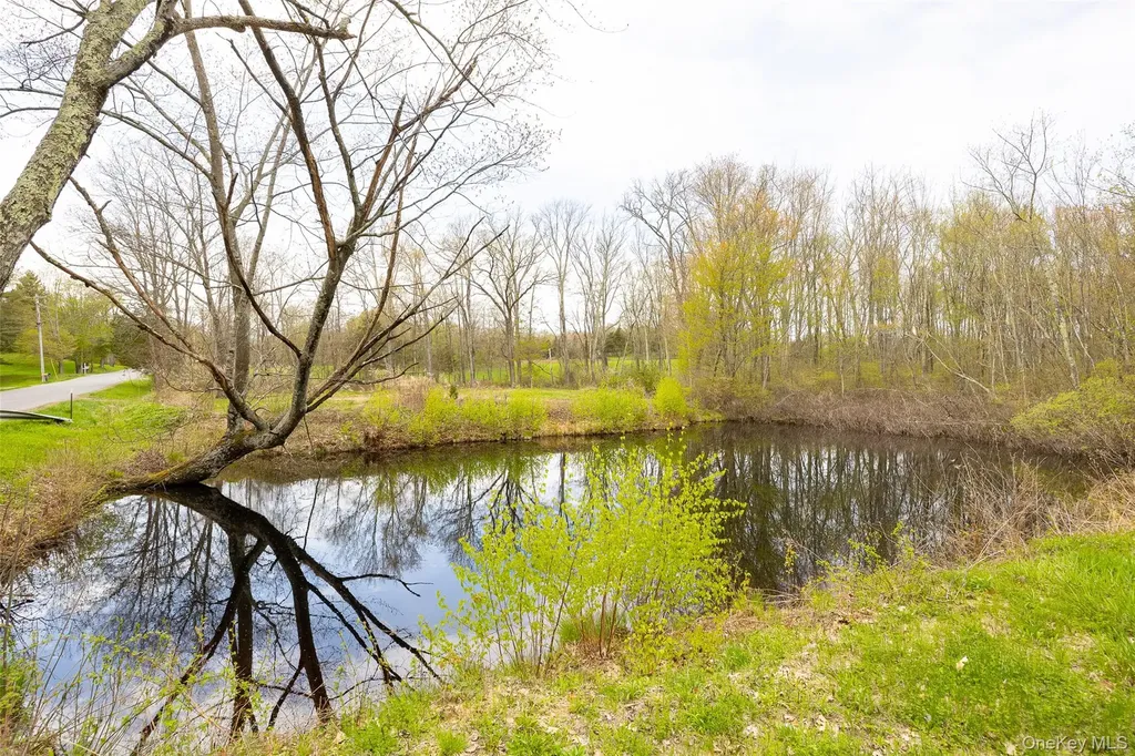207 Pleasant Vale Tivoli NY 12583