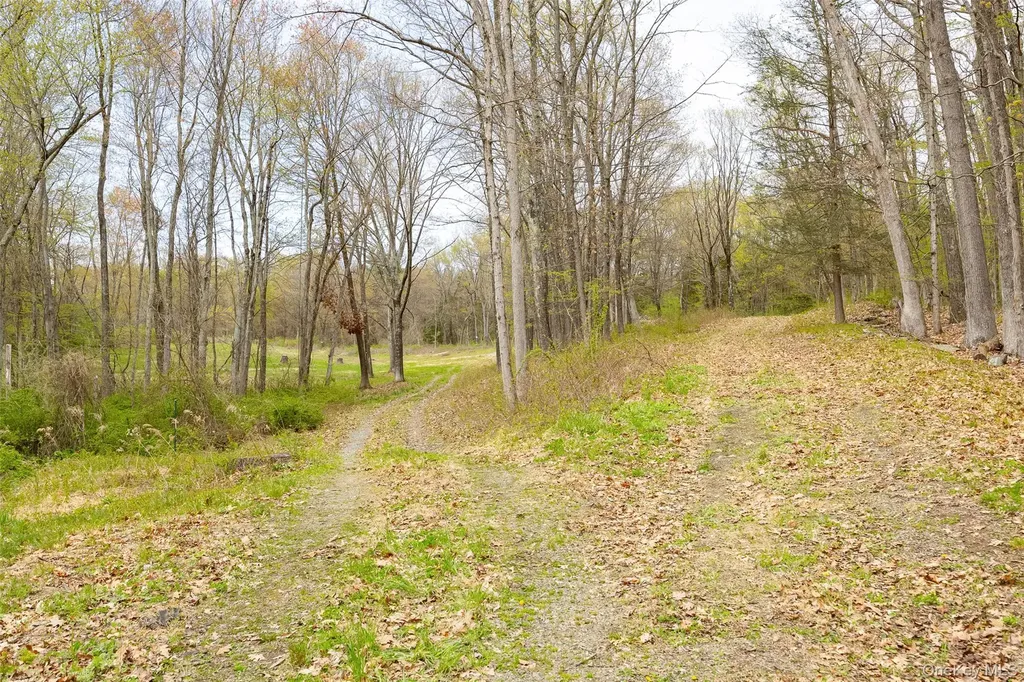 207 Pleasant Vale Tivoli NY 12583