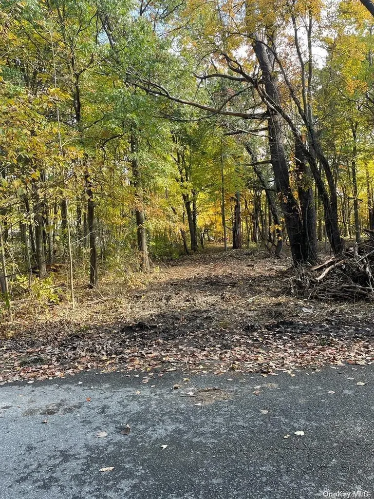 15 Tammy Trail Athens NY 12051
