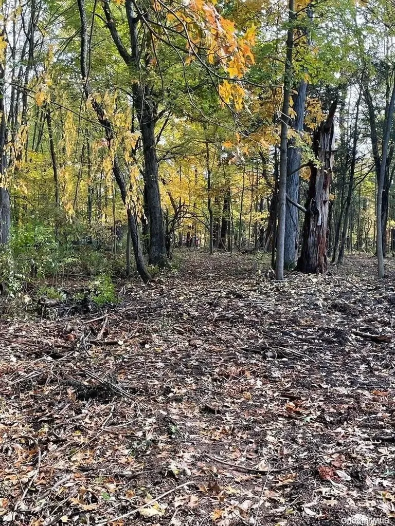 15 Tammy Trail Athens NY 12051
