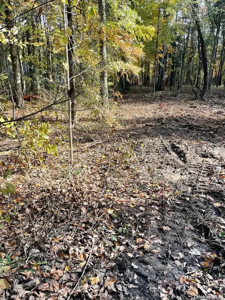 15 Tammy Trail Athens NY 12051