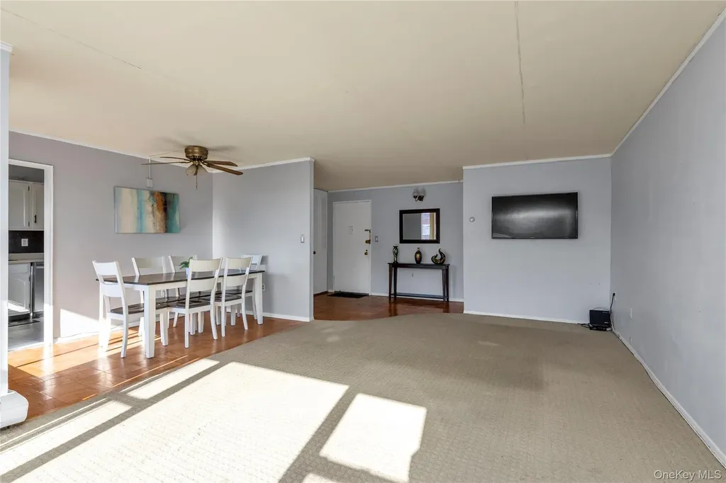100 Clinton Avenue Mineola NY 11501