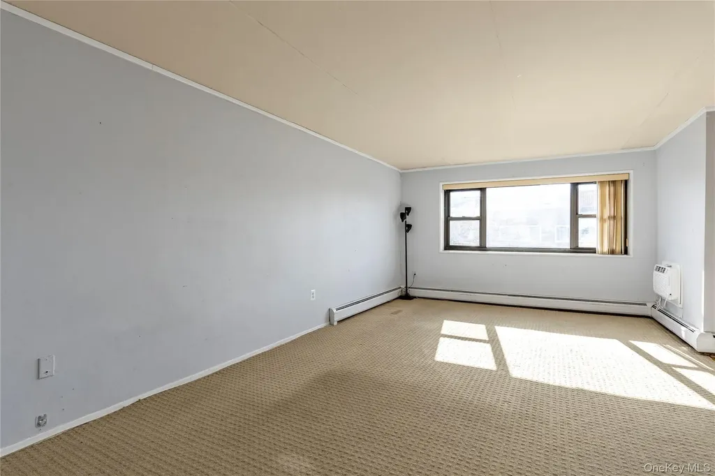 100 Clinton Avenue Mineola NY 11501