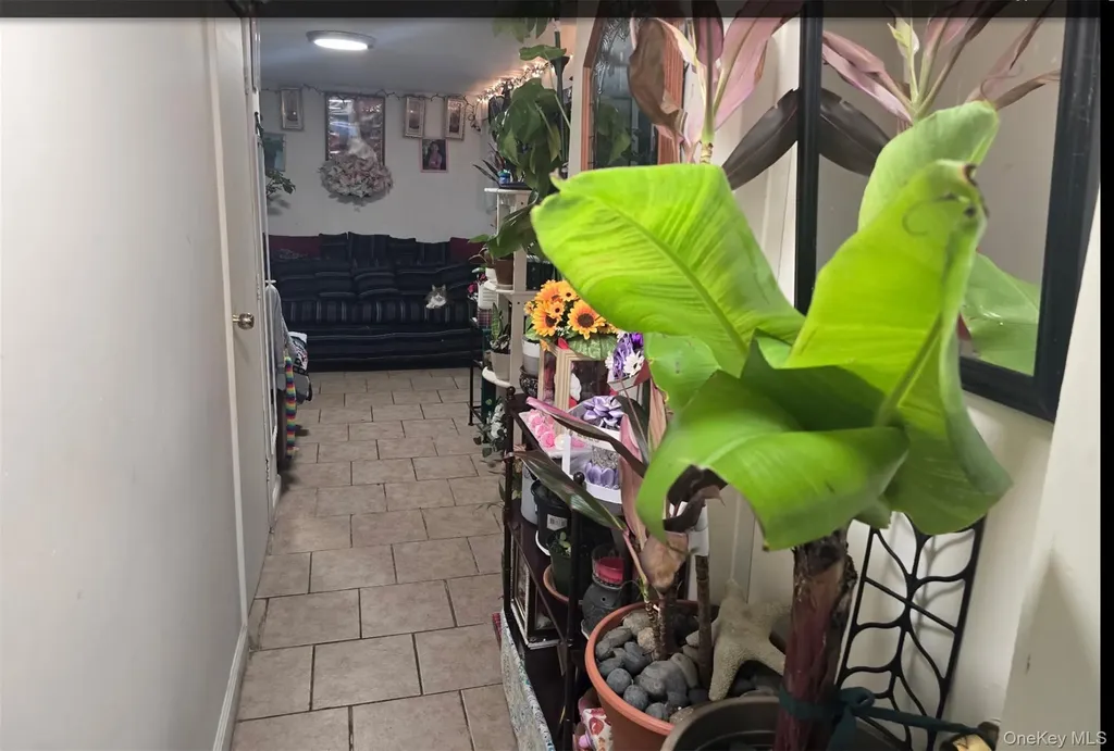 5 Campion Street Brentwood NY 11717