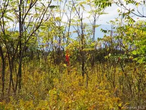 132 Lockwood Road Hudson NY 12534