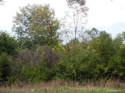 132 Lockwood Road Hudson NY 12534