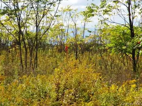 132 Lockwood Road Hudson NY 12534