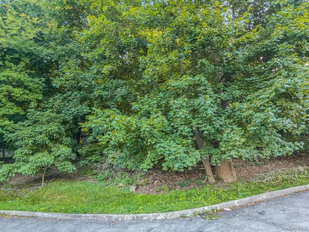 10-13-75 Dickinson Avenue Yonkers NY 10703