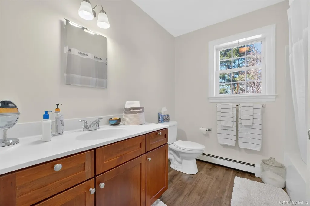 54 Shore Drive Elizaville NY 12523