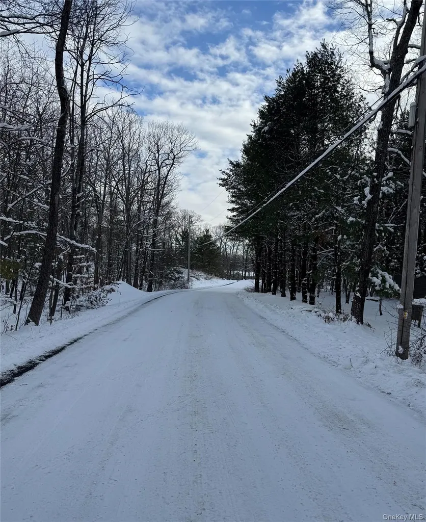 12 Easy Street Catskill NY 12414