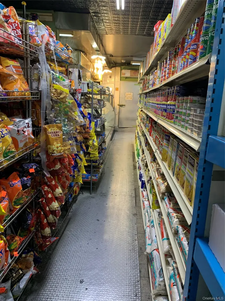 1697 E New York Avenue Brooklyn NY 11212