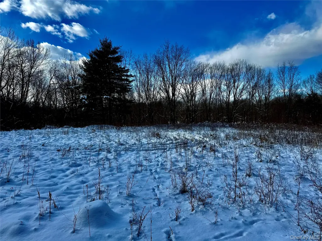 266 Pitts Road Chatham NY 12136
