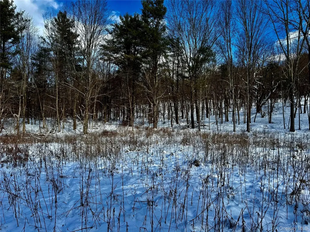 266 Pitts Road Chatham NY 12136