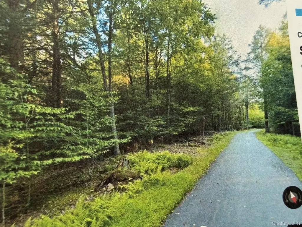 Highview Drive Bethel NY 12720