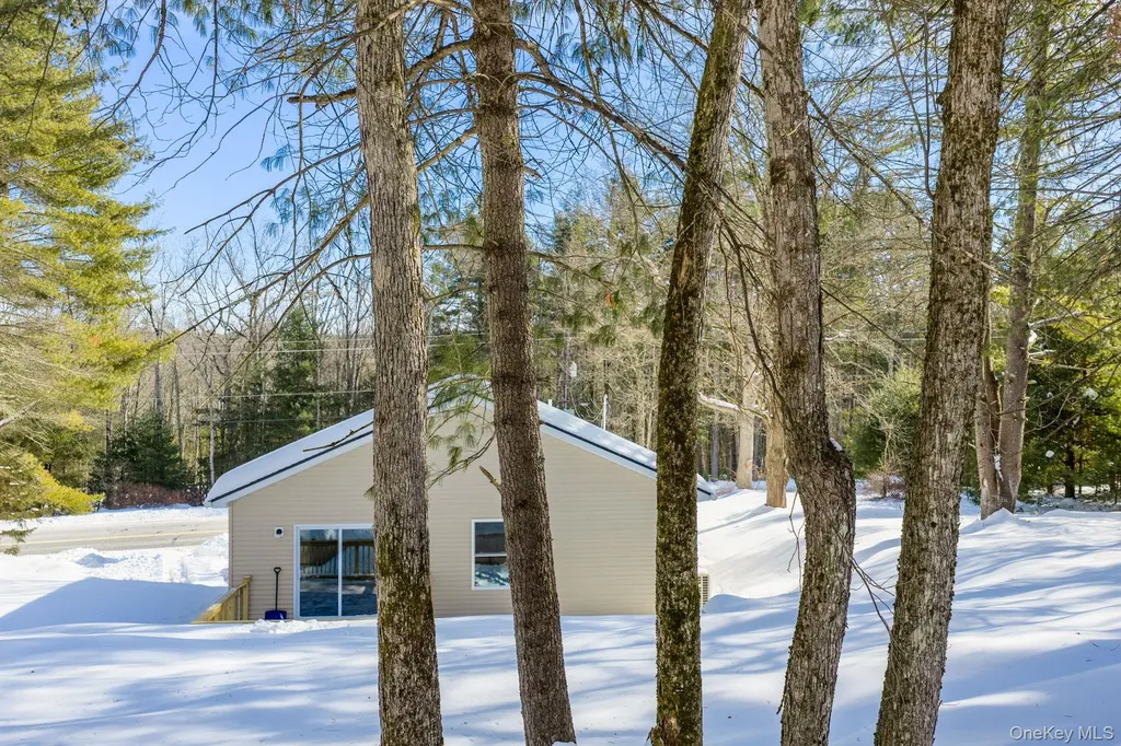 943 State Route 55 Eldred NY 12732