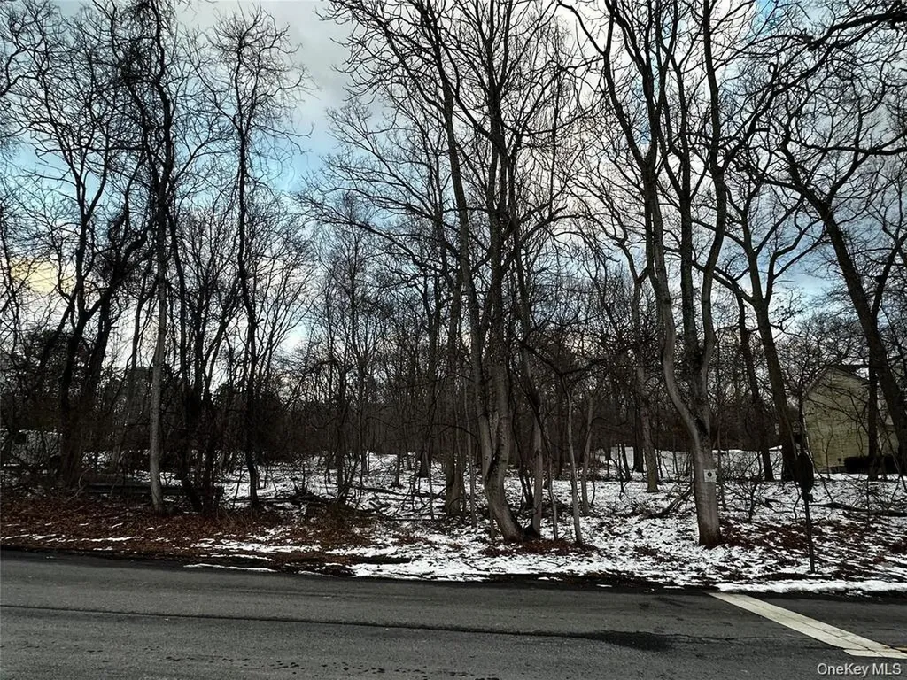 W Bartlett Road Middle Island NY 11953