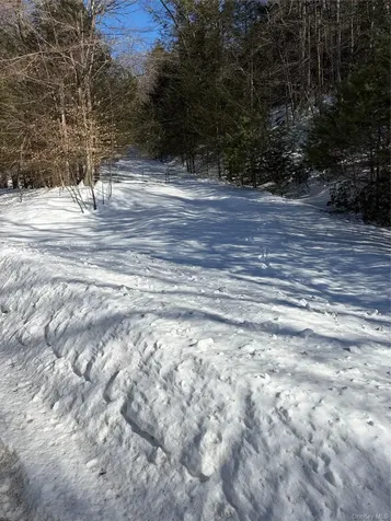 State Route 55 Barryville NY 12719