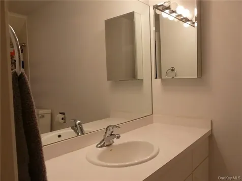 210 Sandpiper Court Yorktown Heights NY 10598