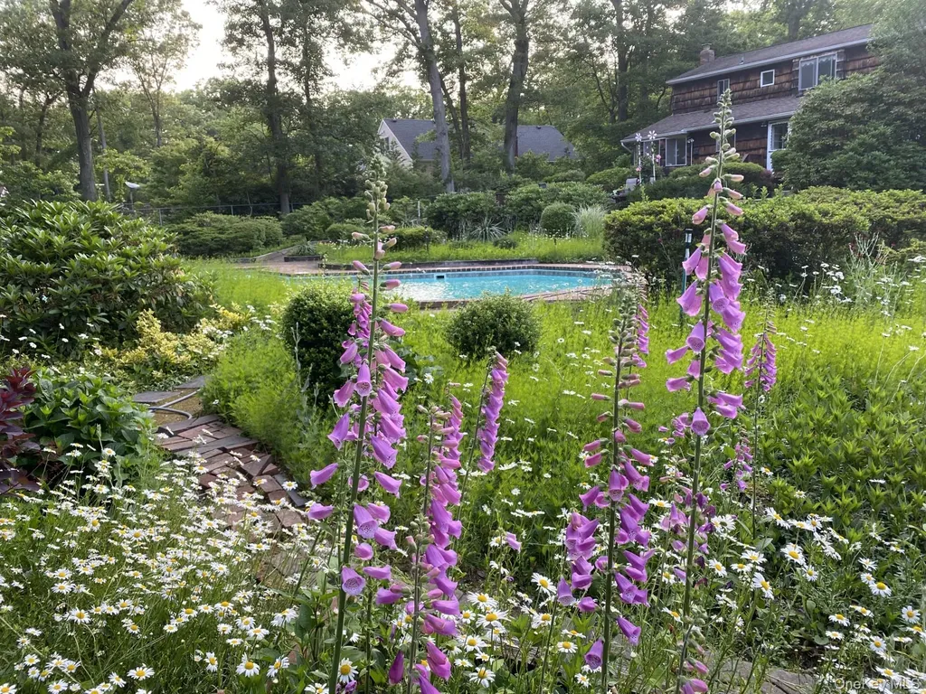 10 Sarah Drive Dix Hills NY 11746