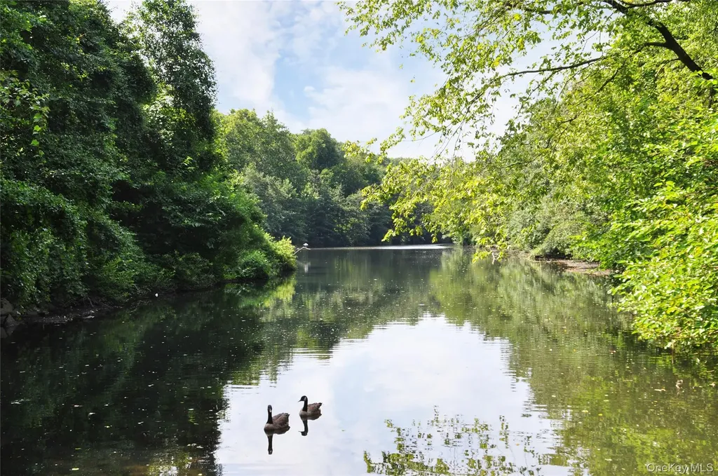25 Parkview Avenue Bronxville NY 10708