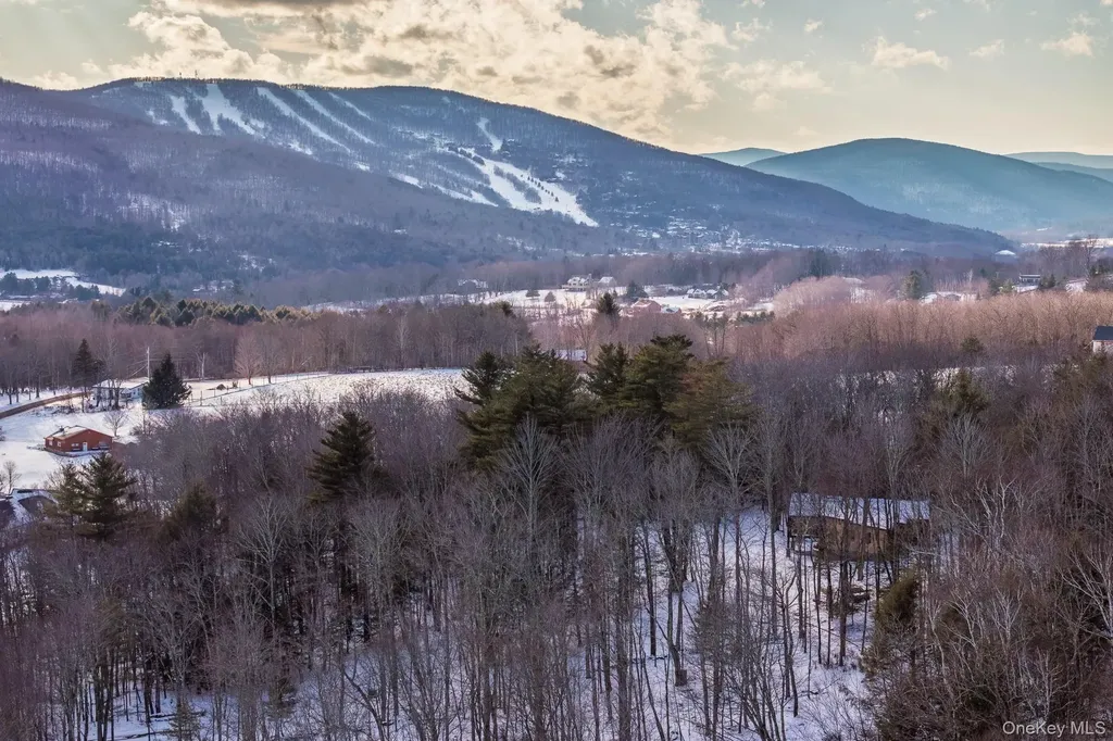 31 Windham Farms Road Windham NY 12496