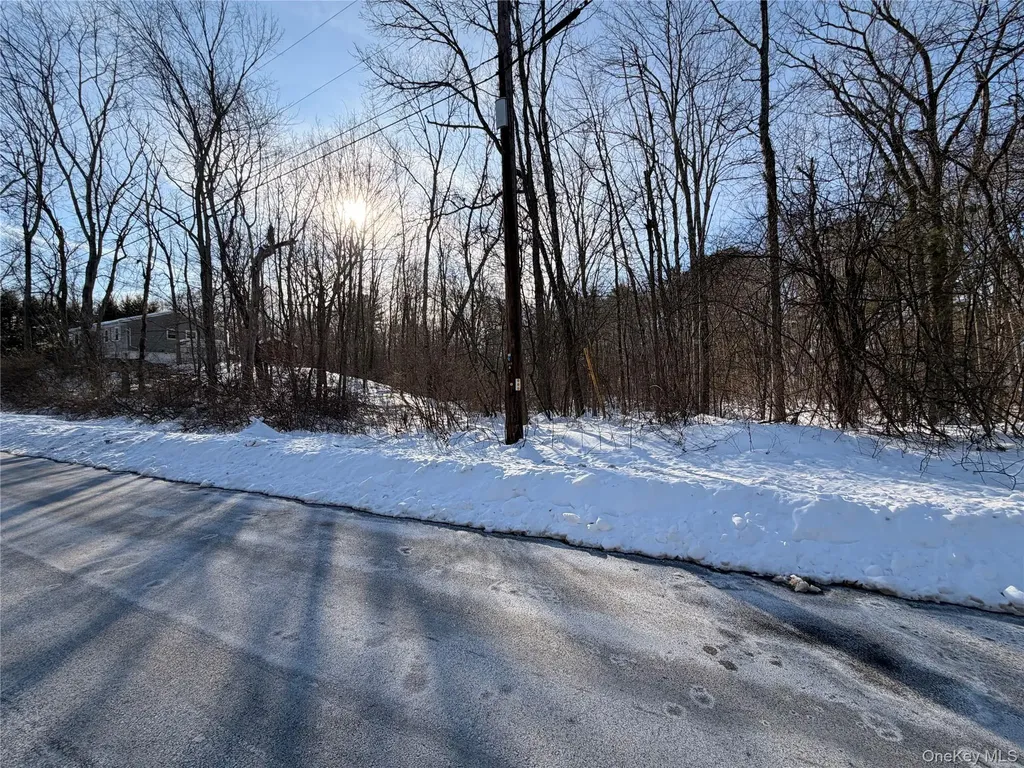 11 White Birch Road Hyde Park NY 12538