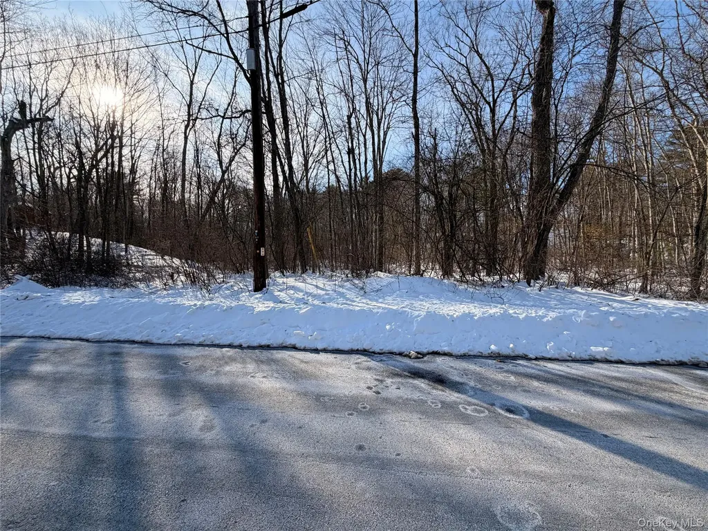 11 White Birch Road Hyde Park NY 12538