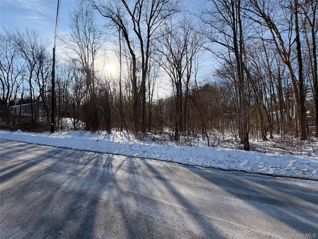 11 White Birch Road Hyde Park NY 12538