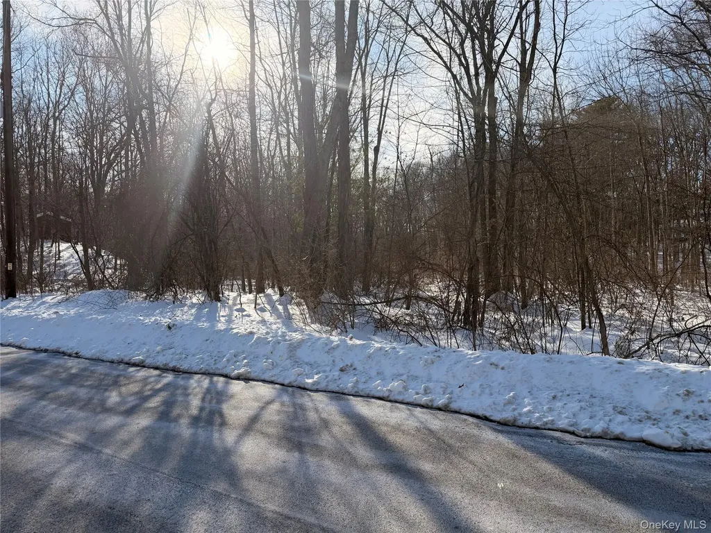 11 White Birch Road Hyde Park NY 12538