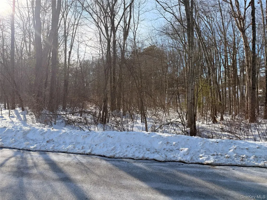 11 White Birch Road Hyde Park NY 12538