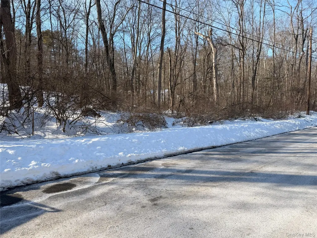 11 White Birch Road Hyde Park NY 12538