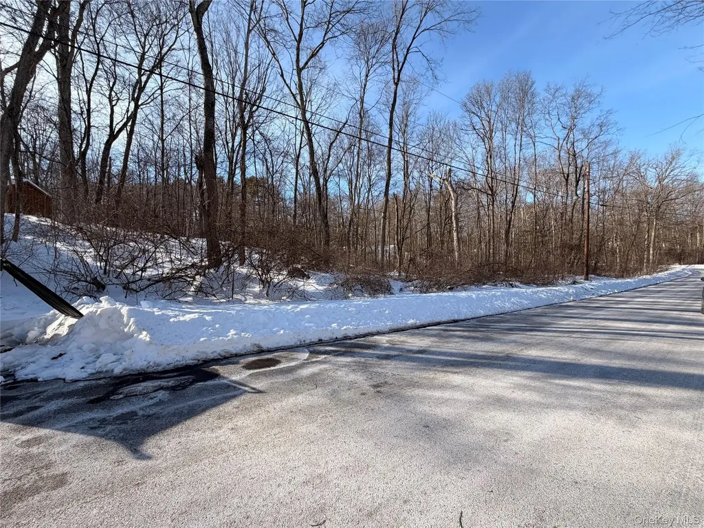 11 White Birch Road Hyde Park NY 12538