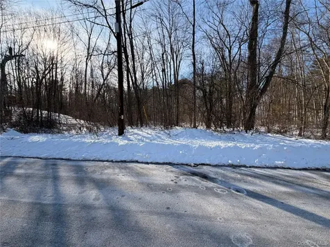 11 White Birch Road Hyde Park NY 12538