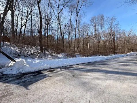 11 White Birch Road Hyde Park NY 12538