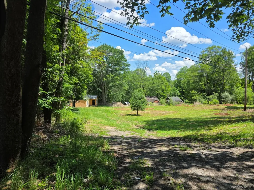 1094 Old Route 17 Harris NY 12742