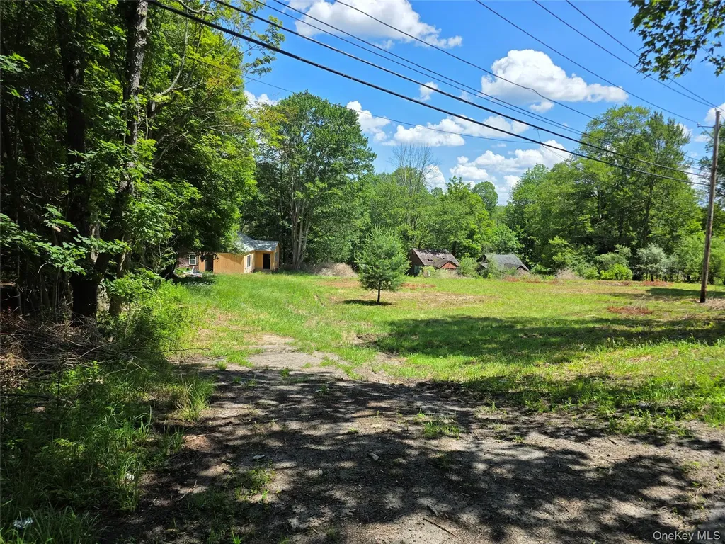 1094 Old Route 17 Harris NY 12742