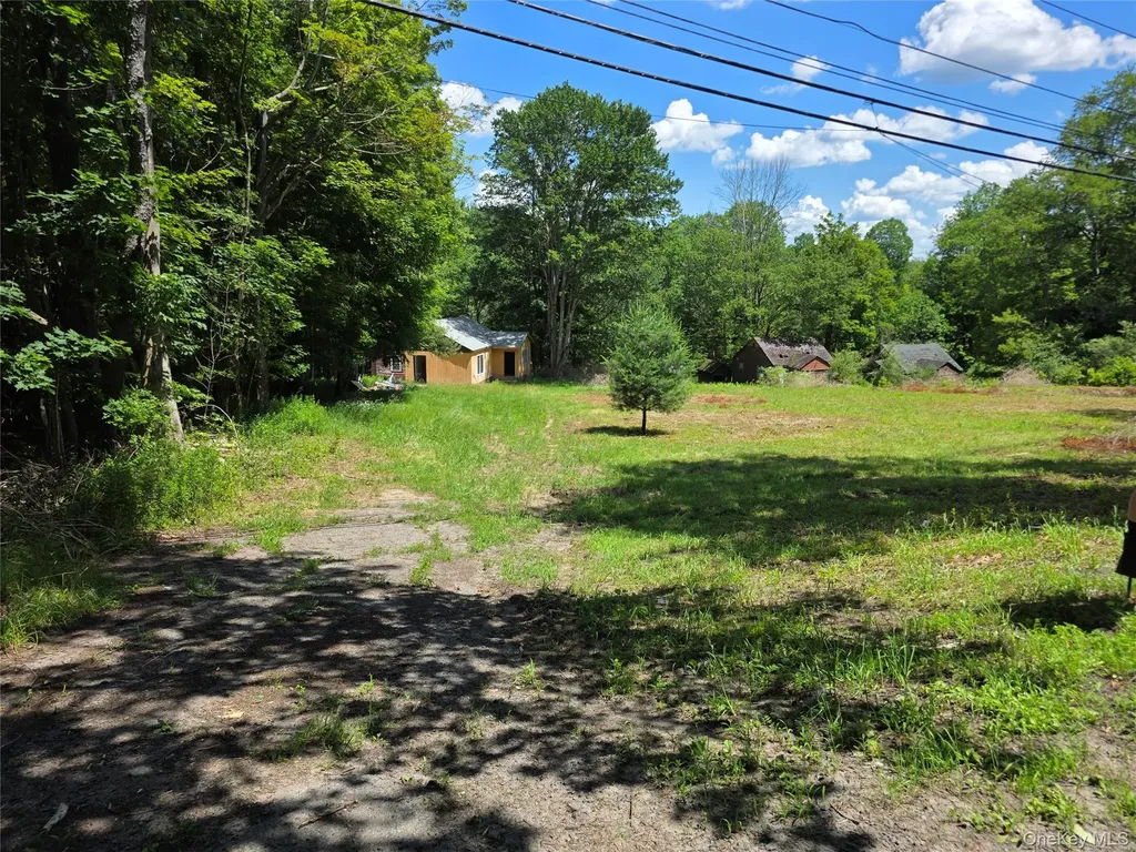1094 Old Route 17 Harris NY 12742