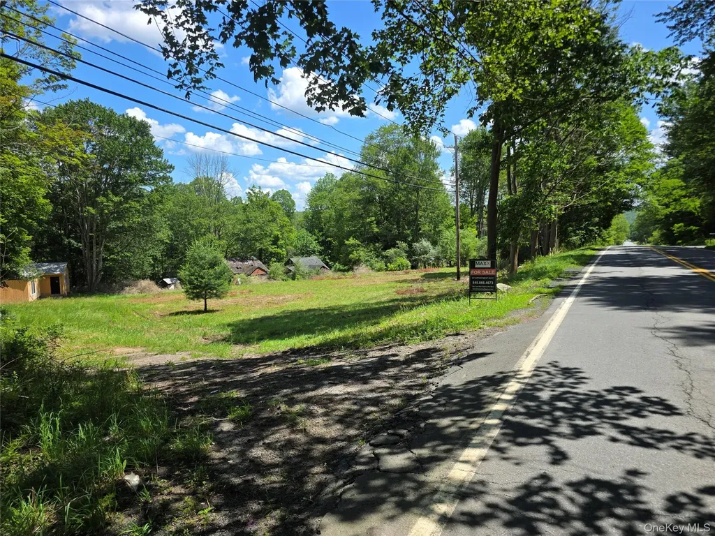 1094 Old Route 17 Harris NY 12742