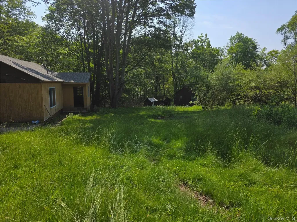 1094 Old Route 17 Harris NY 12742