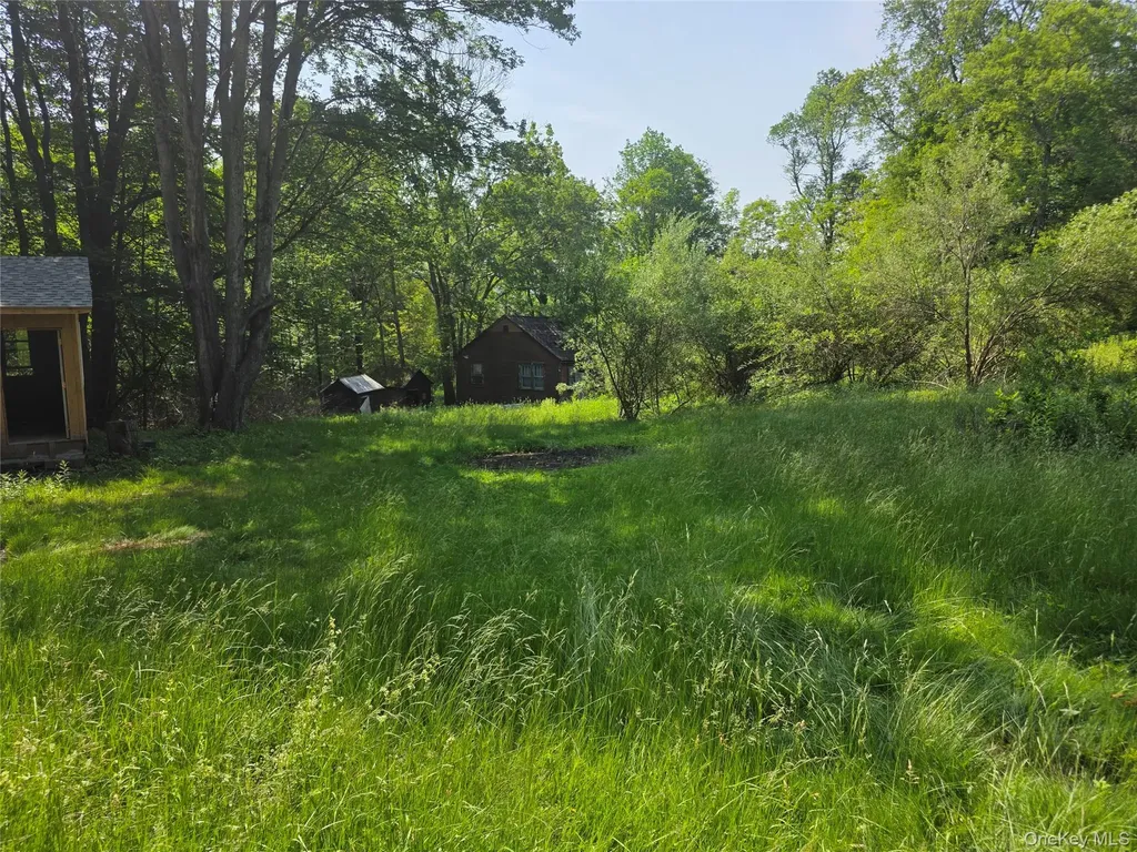 1094 Old Route 17 Harris NY 12742