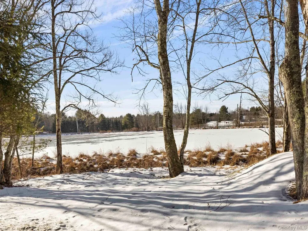 6 Lakeside Drive Monticello NY 12701