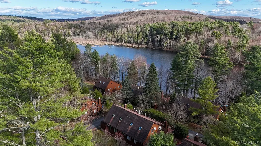 6 Lakeside Drive Monticello NY 12701