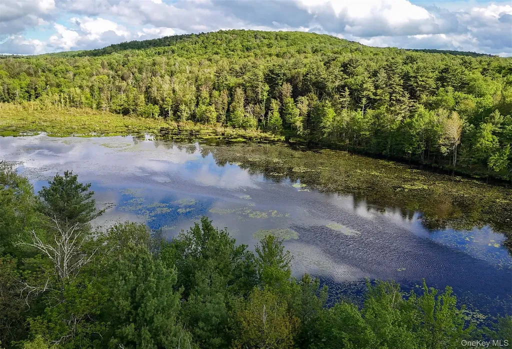 6 Lakeside Drive Monticello NY 12701