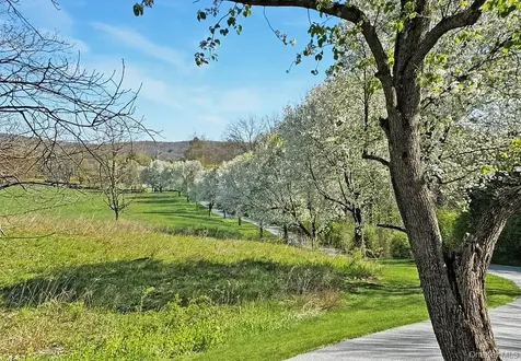 1963 Salt Point Turnpike Salt Point NY 12578