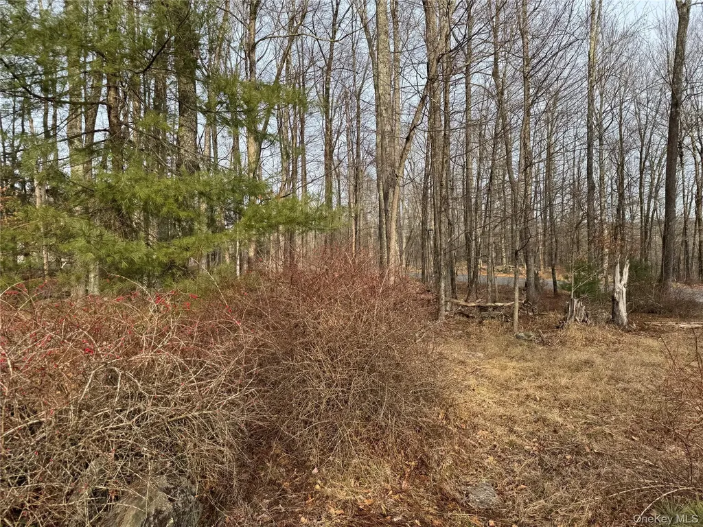 Hilltop Road Monticello NY 12701