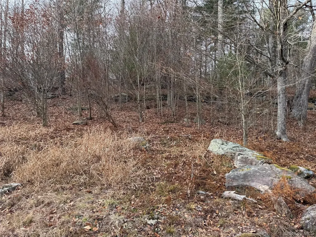 Hilltop Road Monticello NY 12701