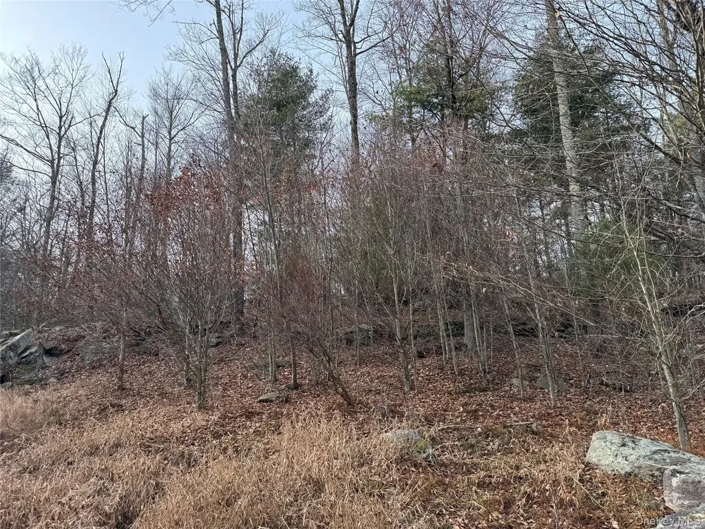 Hilltop Road Monticello NY 12701